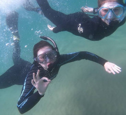 Seal Snorkelling Adventure